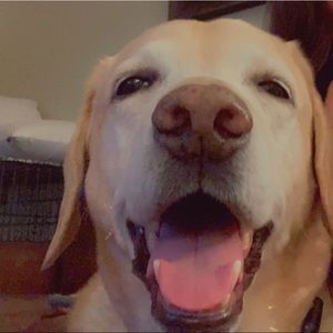 Meet your Posher, Dunya